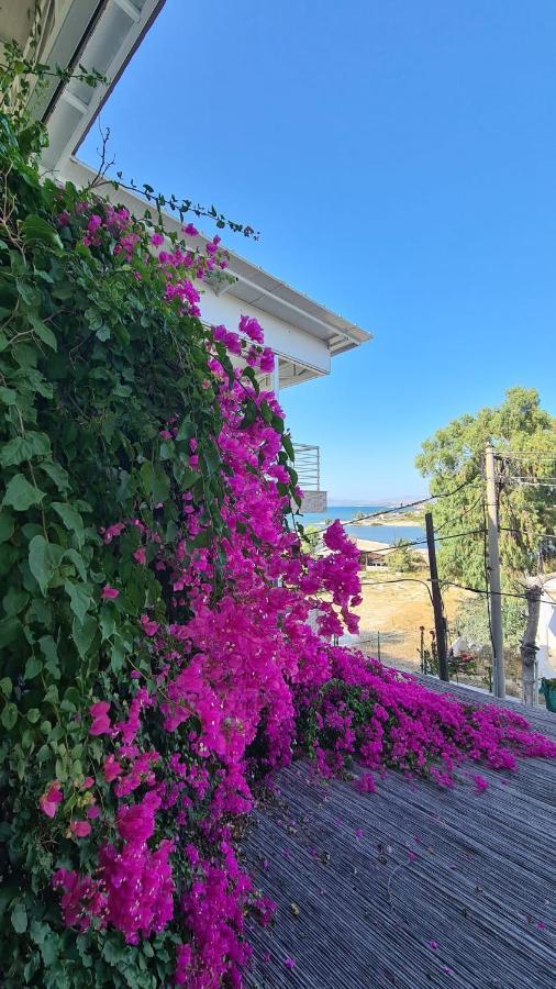 Begonvil Otel Çeşme Exteriér fotografie